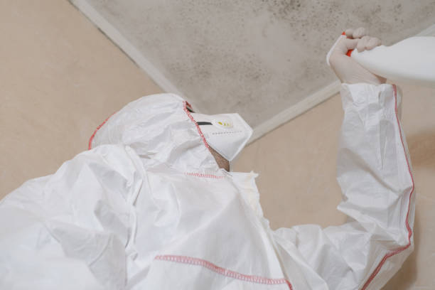 Best Commercial Mold Remediation in Rankin, TX