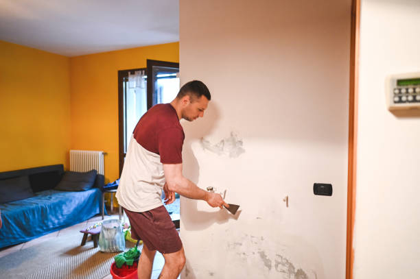 Best Emergency Mold Remediation in Rankin, TX
