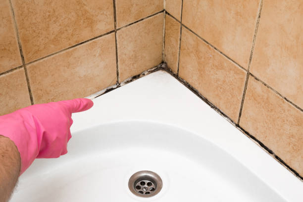 Best Residential Mold Remediation in Rankin, TX